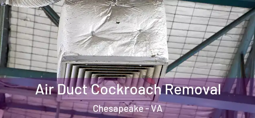  Air Duct Cockroach Removal Chesapeake - VA