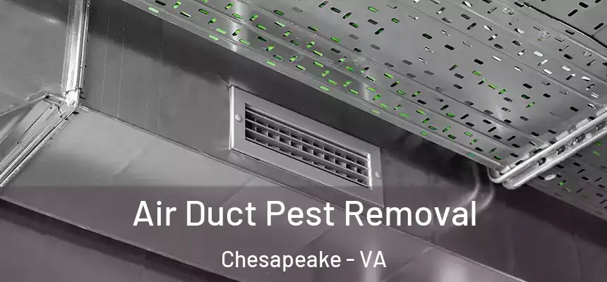  Air Duct Pest Removal Chesapeake - VA