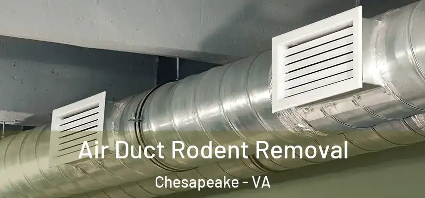  Air Duct Rodent Removal Chesapeake - VA