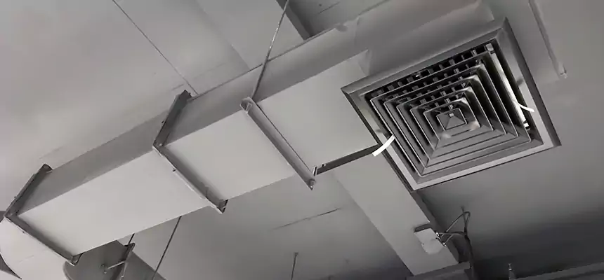 Restorative Allergy Relief Vent Cleaning – Coil, Blower & Housing Detail in Chesapeake