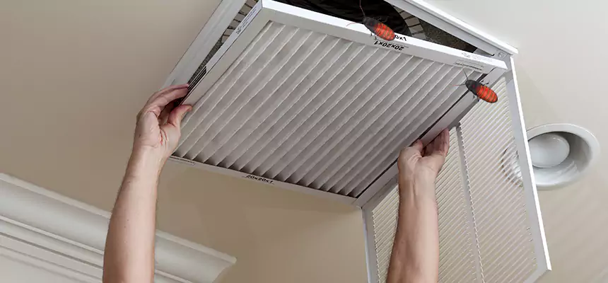 Our Insect Removal from Air Ducts Services in Chesapeake, VA