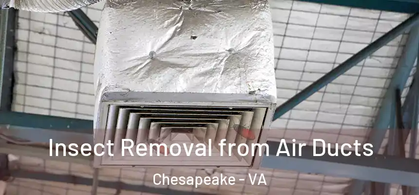  Insect Removal from Air Ducts Chesapeake - VA