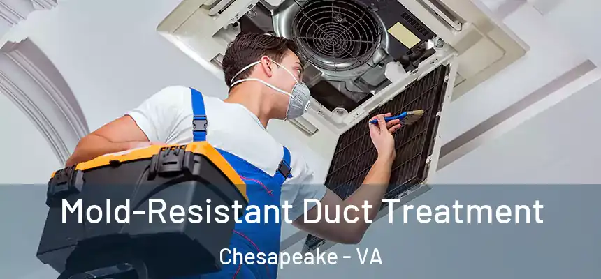  Mold-Resistant Duct Treatment Chesapeake - VA