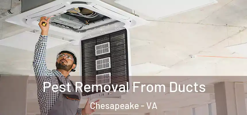  Pest Removal From Ducts Chesapeake - VA