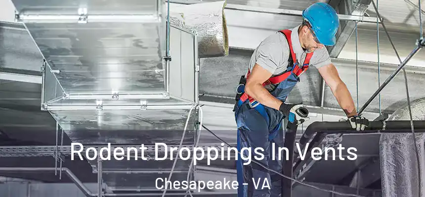  Rodent Droppings In Vents Chesapeake - VA