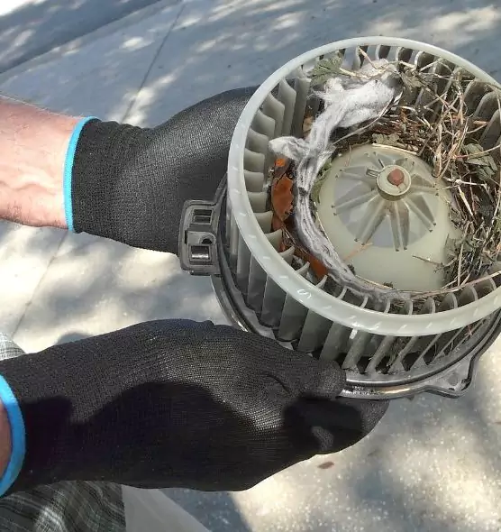 About Air Duct Mice Removal in Chesapeake, VA