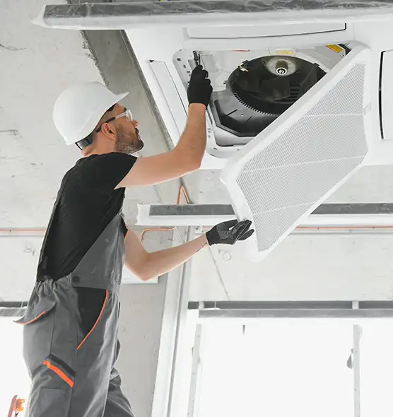 About Air Duct Rodent Removal in Chesapeake, VA