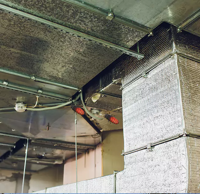 Why Homeowners & Businesses Trust Us in Chesapeake, VA?