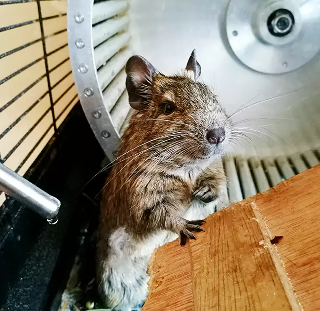 Why Homeowners & Businesses Trust Us Chesapeake, VA