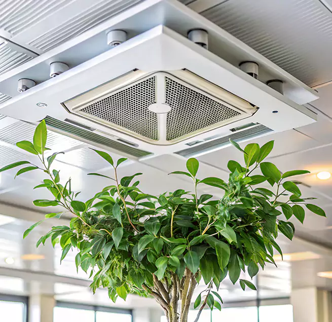 Why Homeowners & Businesses Trust Us in Chesapeake, VA