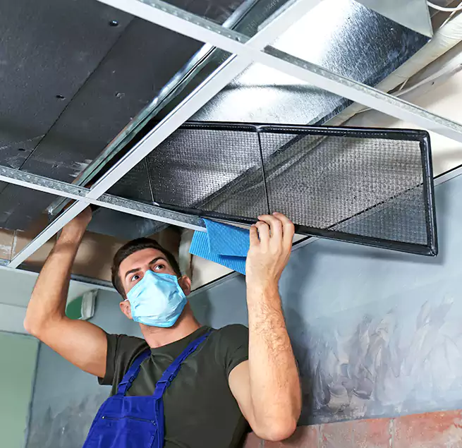 Why Homeowners Businesses Trust Us in Chesapeake, VA